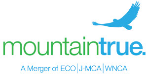 mountaintrue_logo_hawk_ecojmcawnca_750x390 (for web)