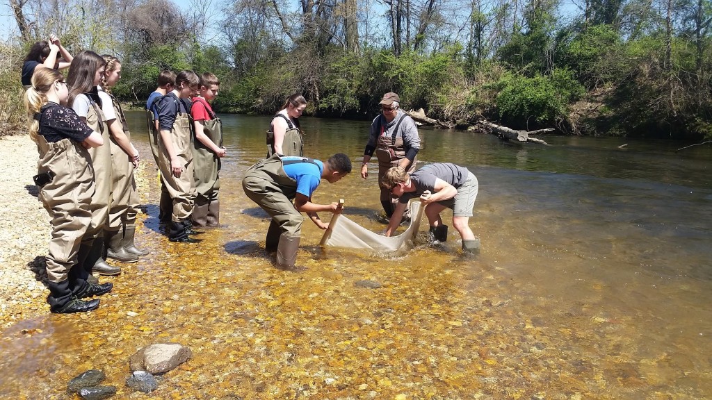Kids in the creek sampling the river's macro-invertebrates. 