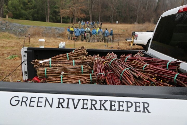 GreenRiverkeeperLiveStakes