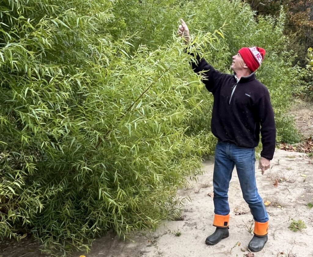 Streambank Restoration photo
