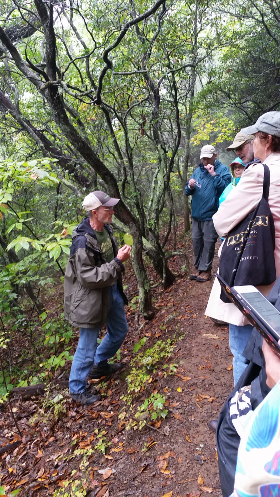 Field Trip: Ecology of Southern Appalachia