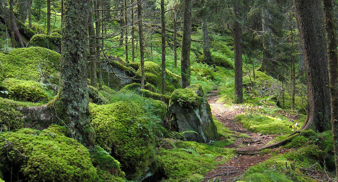 Help Keep Our Public Lands Clean During the Shutdown