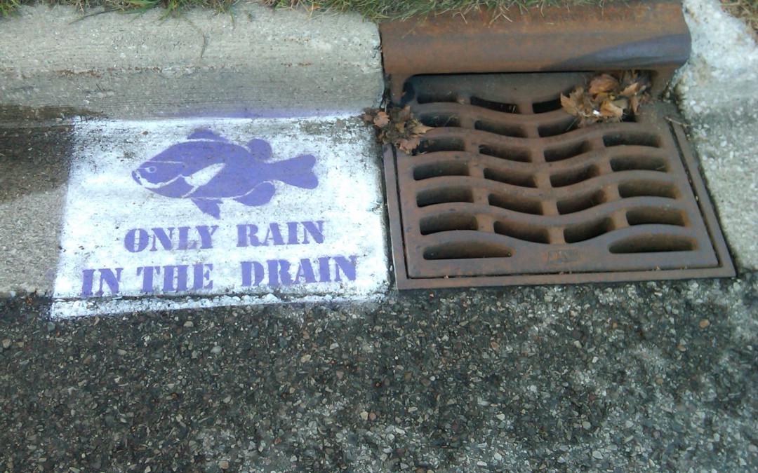 Hendersonville Storm Drain Stenciling Program