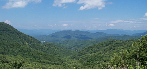 Fires Creek Tract Acquired For Permanent Conservation In Nantahala National Forest!