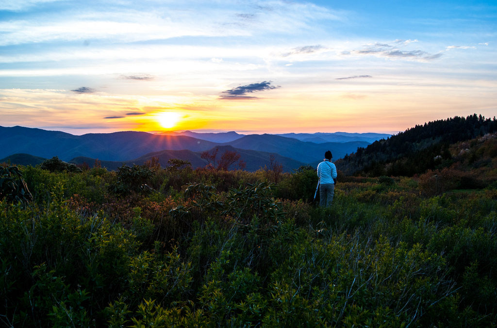 Deciding the Next 15 Years for Western NC’s Forests: The Nantahala-Pisgah Forest Management Plan