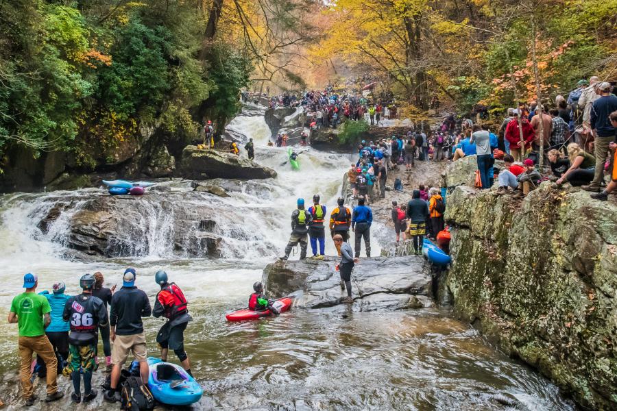 Press Release: Whitewater Kayakers Receive Grant to Save Hemlock Trees in Green River Gorge