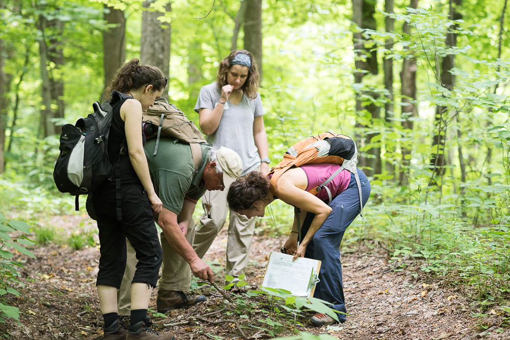 Take Part in the Very First BioBlitz of the Nantahala Gorge