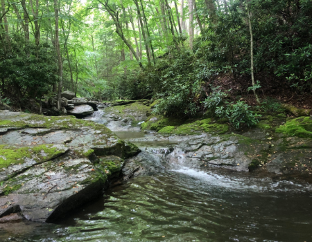 Keep Beech Creek Flowing! Say No To The Permit Revision.