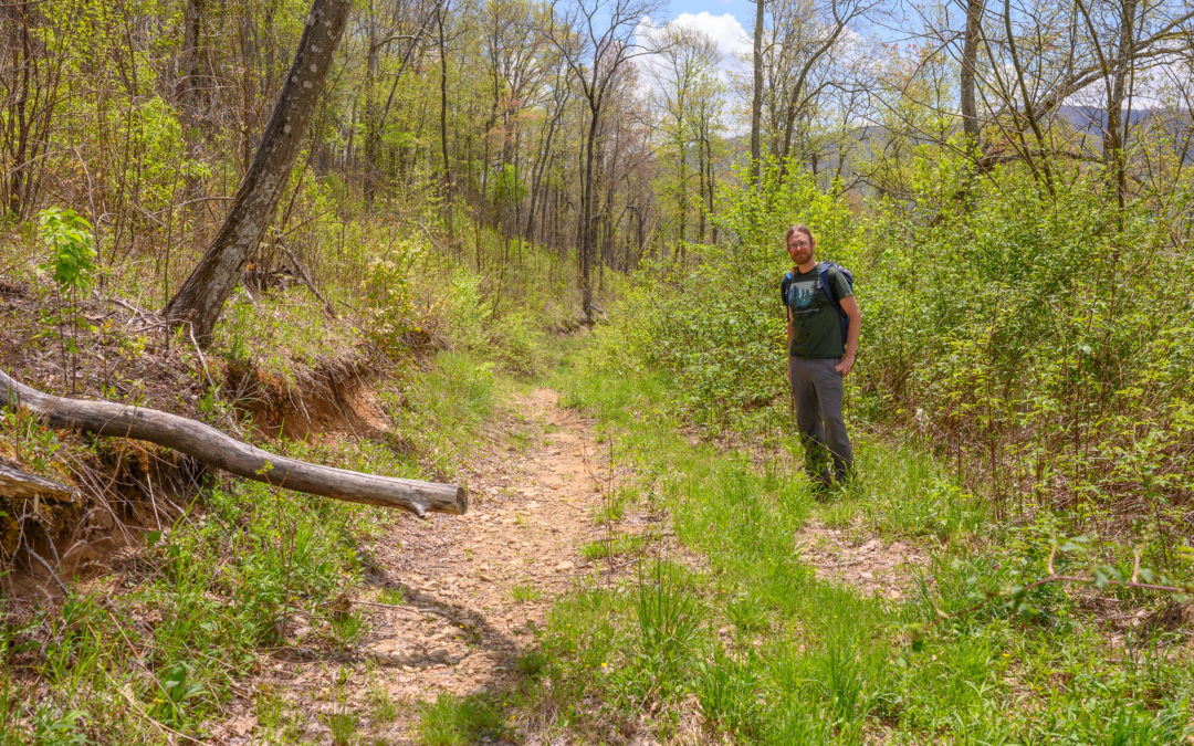 Update on the Buck Project in Nantahala National Forest