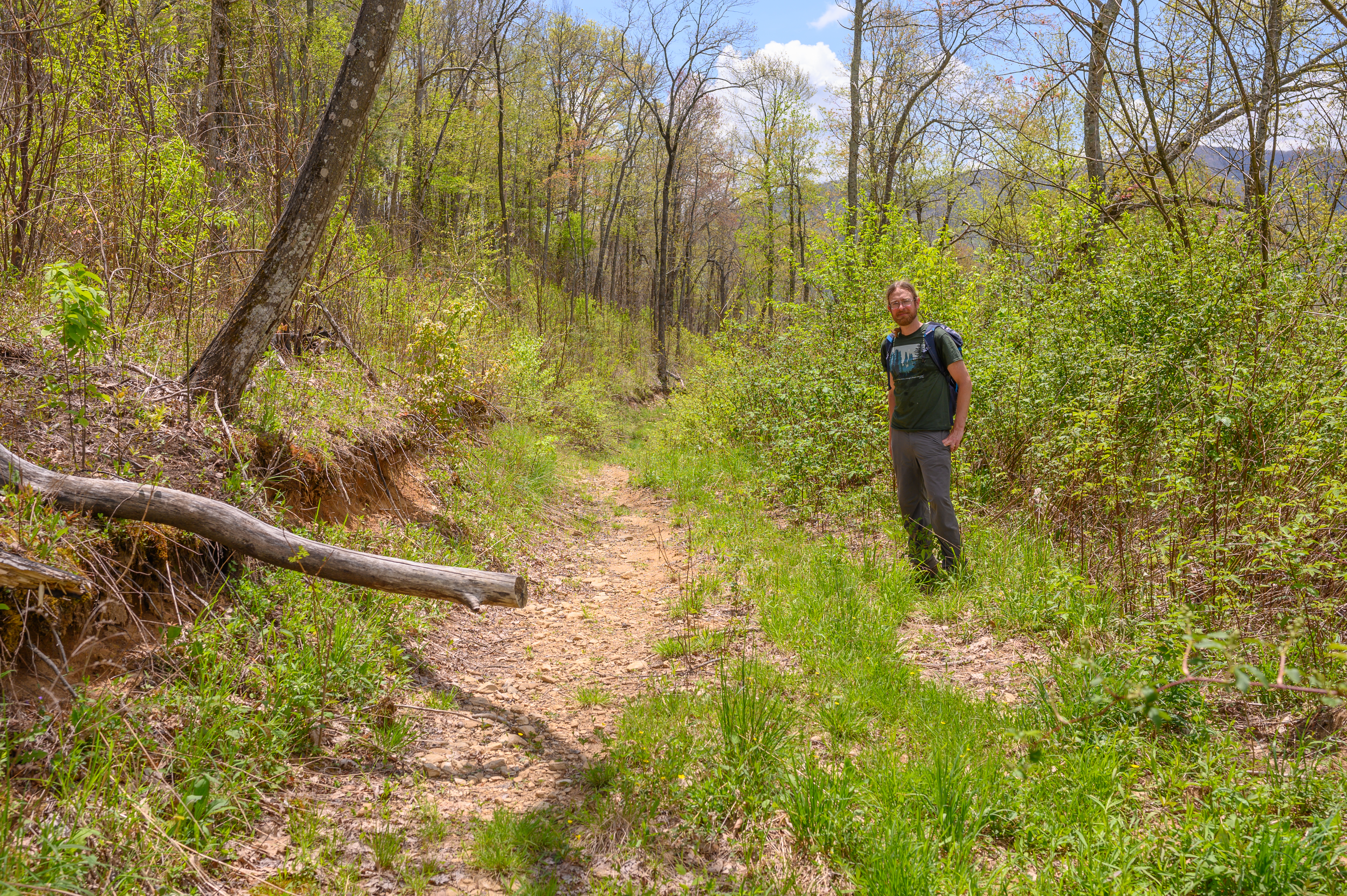 Update on the Buck Project in Nantahala National Forest