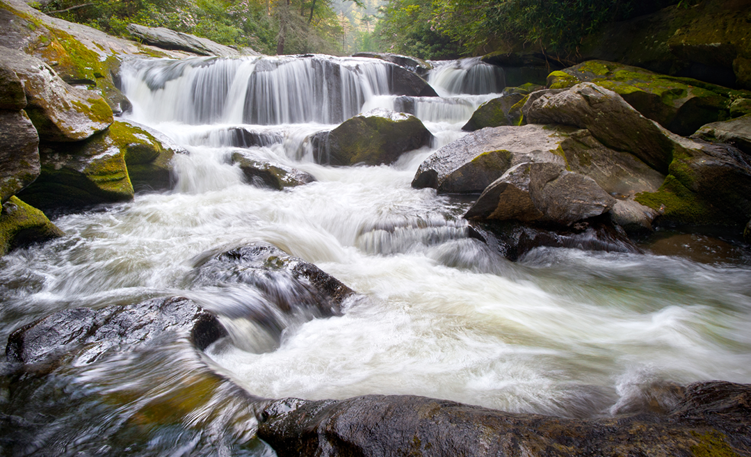 Water and the Draft Plan for Nantahala and Pisgah National Forests