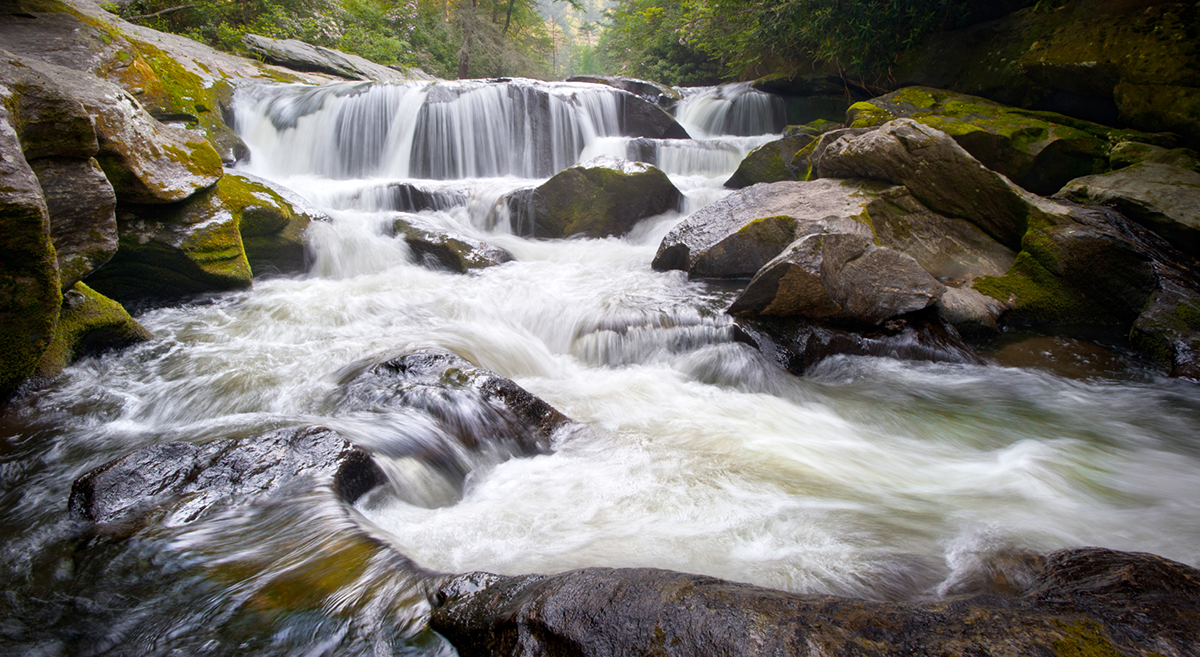 Water and the Draft Plan for Nantahala and Pisgah National Forests