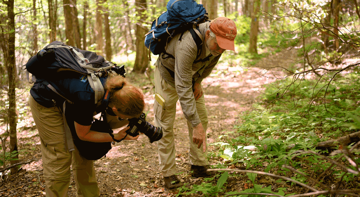 Join Us For A Madison County-wide Bioblitz, June 6-20