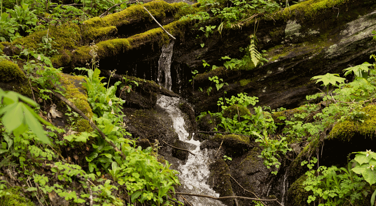 stream_1200x657