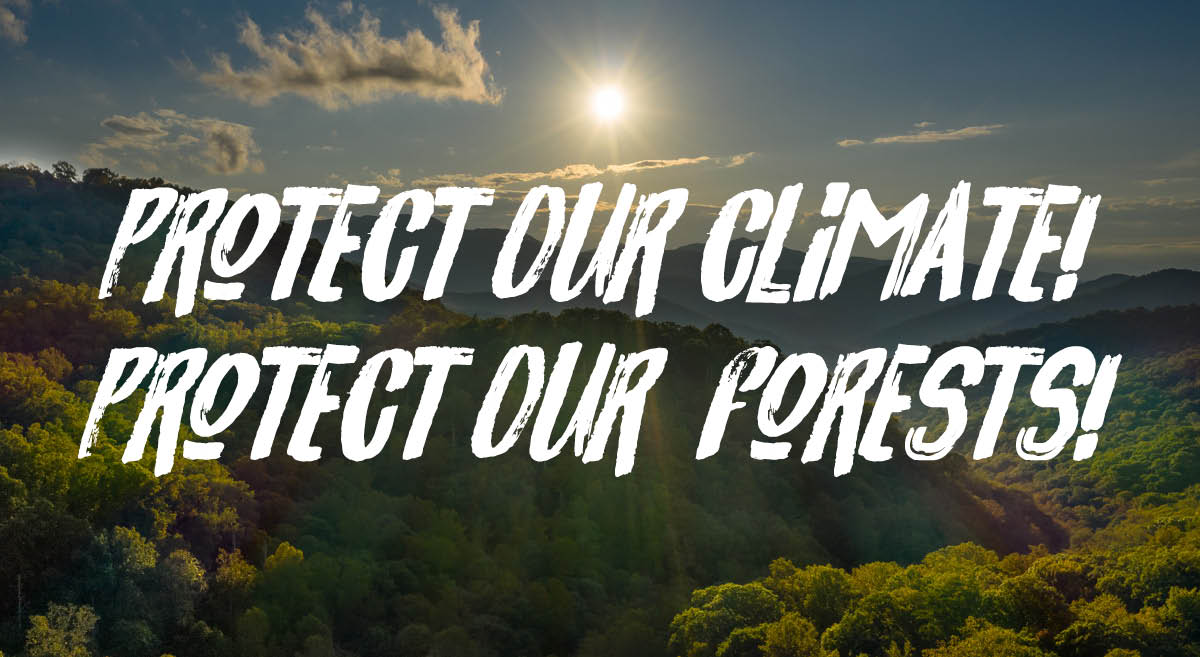 Protect the Nantahala-Pisgah National Forest — Our Region’s Natural Carbon Sink