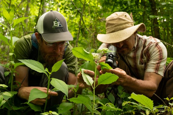 2020 BioBlitz Documents over 1,100 Species