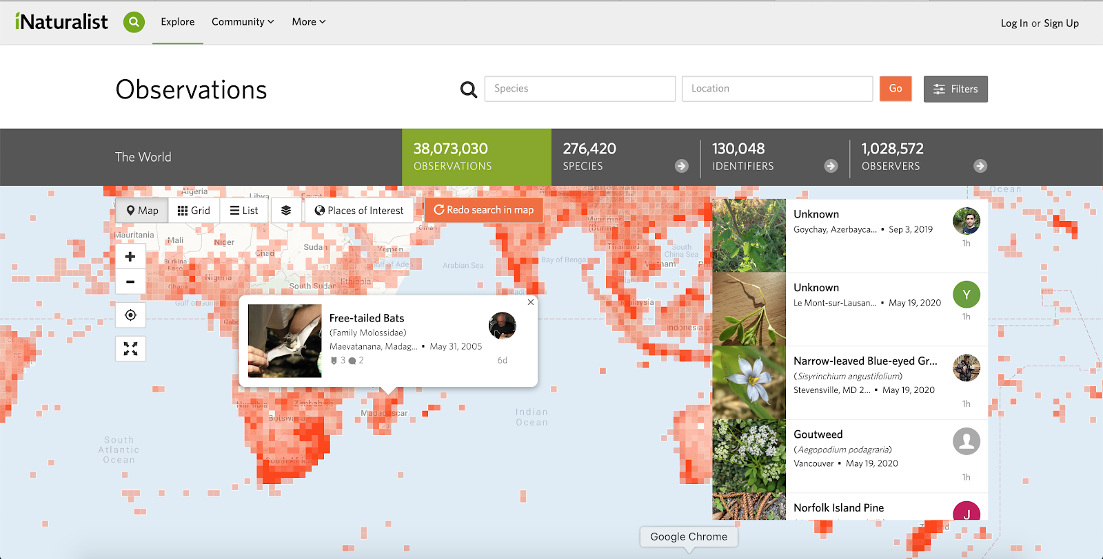 Our 2022 BioBlitz Tri-County Smackdown: Powered by iNaturalist