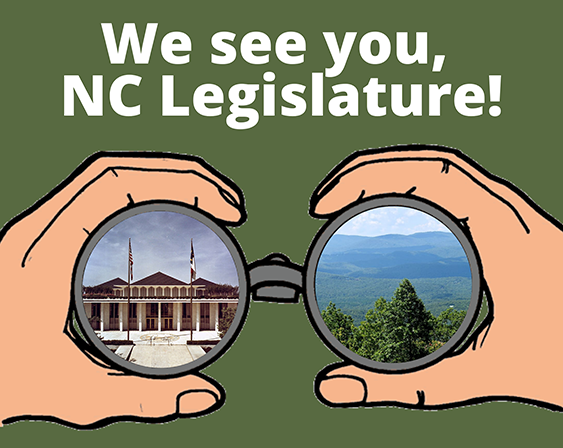 MT Raleigh Report: Two Good News Appointments, What’s Next at the General Assembly