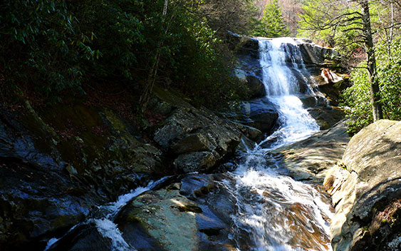 June 29 – A Milestone For Our National Forests