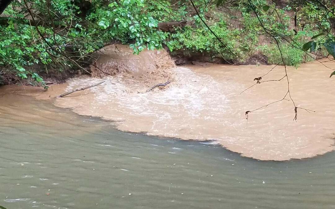 MountainTrue Pollution Tip Leads to Enforcement Action Against Tryon International Equestrian Center