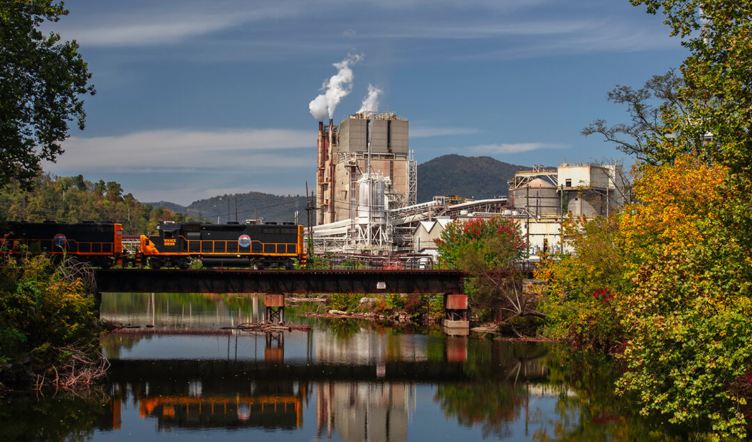 Help Make the Pigeon River Healthier