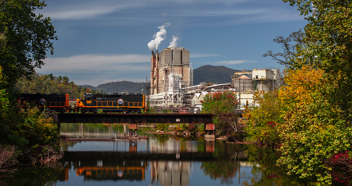 Help Make the Pigeon River Healthier