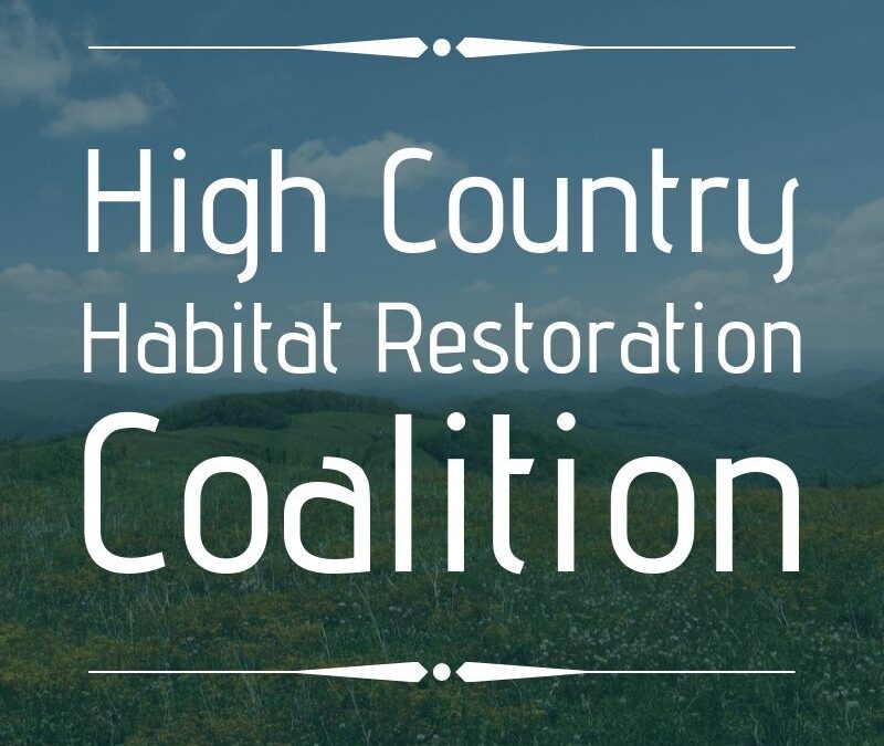 High Country Habitat Restoration Coalition Workday