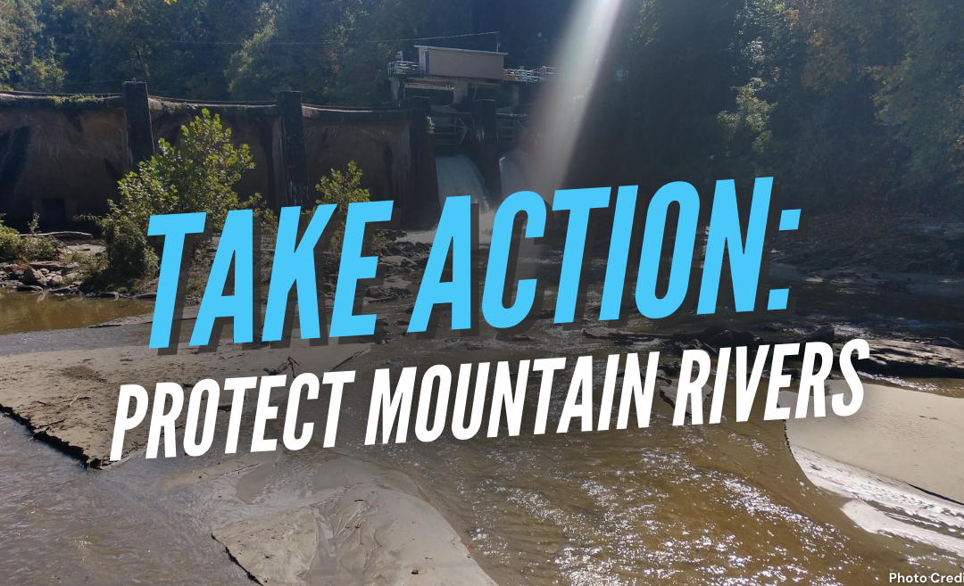 Tell FERC to Protect Mountain Rivers