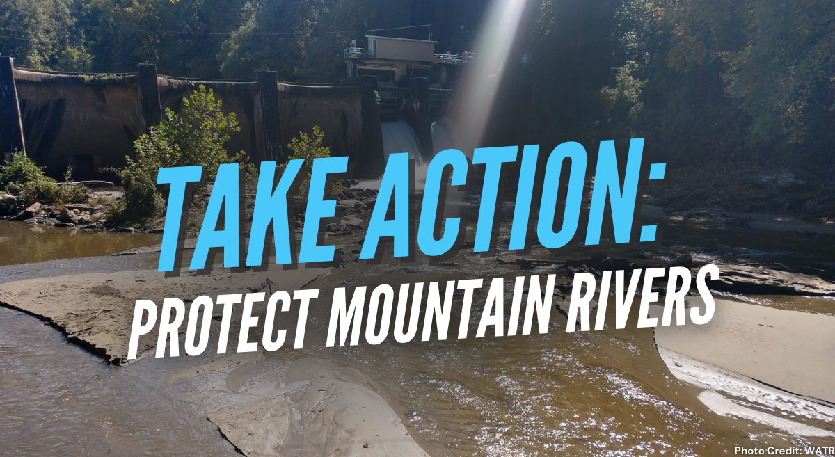 Tell FERC to Protect Mountain Rivers