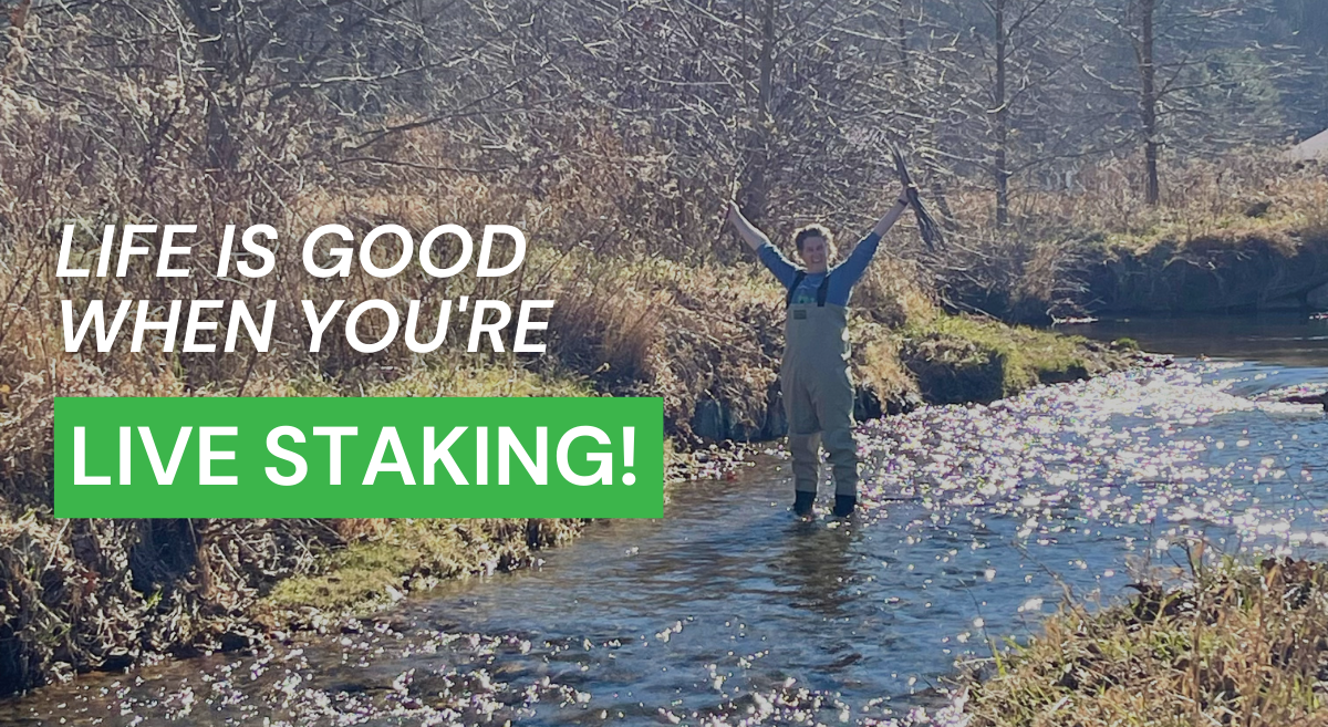 MountainTrue FAQ: Live Staking