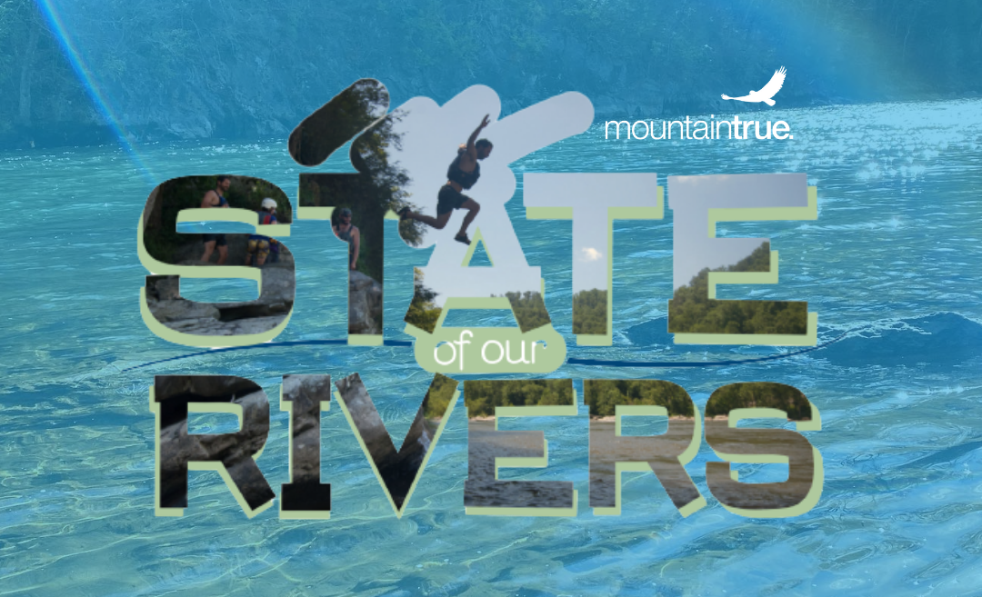 2021 State of the River Reports
