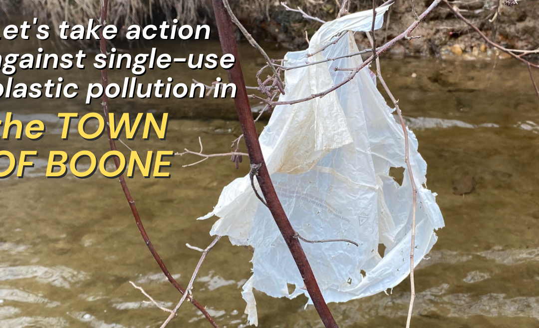 Take Action Against Single-Use Plastic Pollution in Boone
