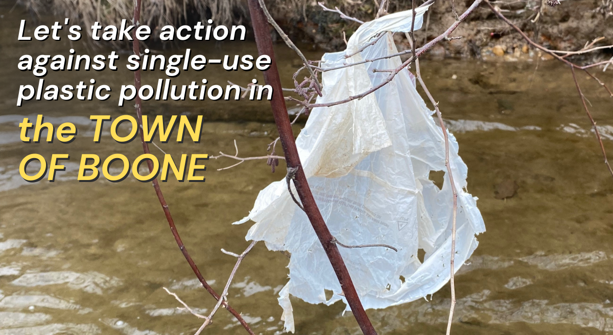 Take Action Against Single-Use Plastic Pollution in Boone