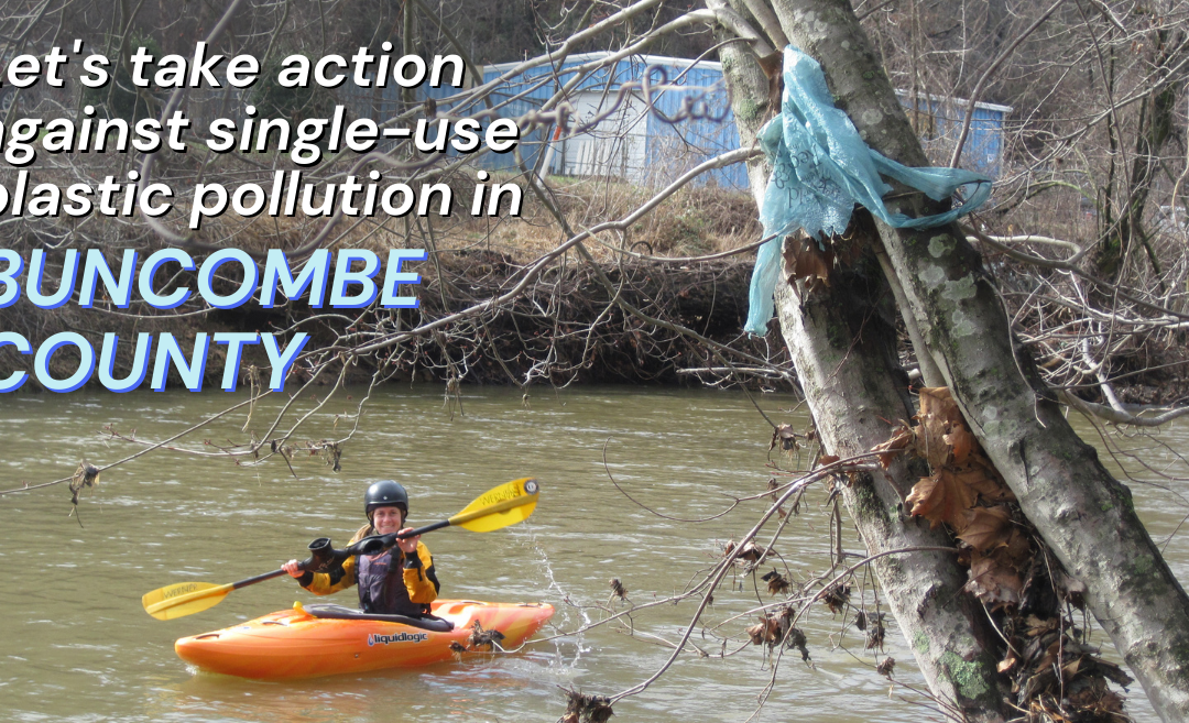 Take Action Against Single-Use Plastic Pollution in Asheville and Buncombe County