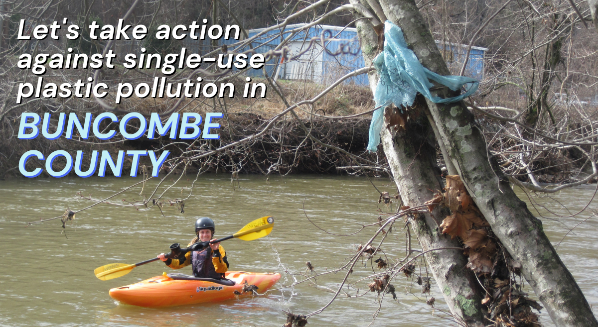 Take Action Against Single-Use Plastic Pollution in Asheville and Buncombe County