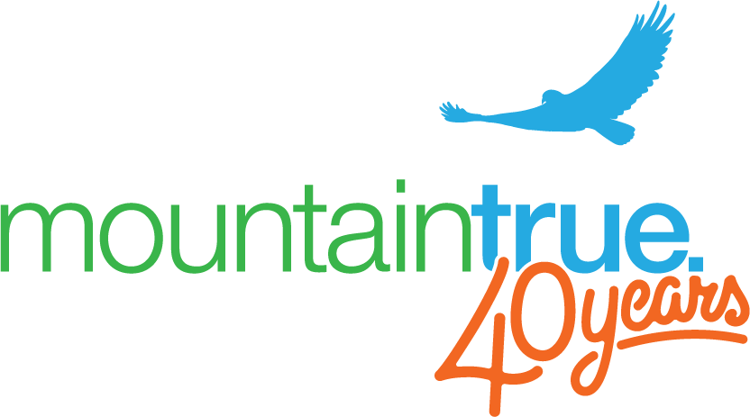 MountainTrue logo 40 years