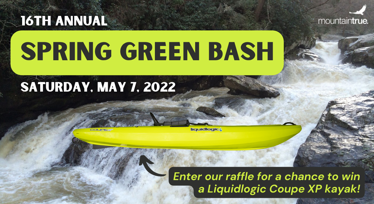 Join us for the 16th Annual Green Bash!