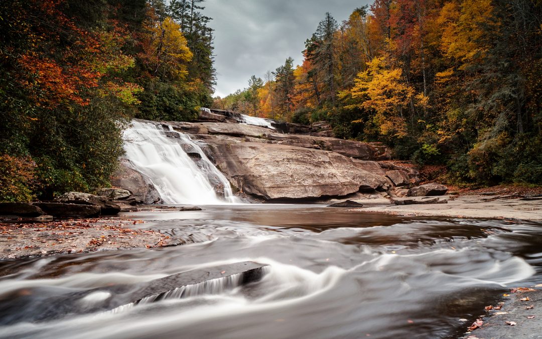 Dupont State Forest: Making a Hidden Treasure a Public Resource