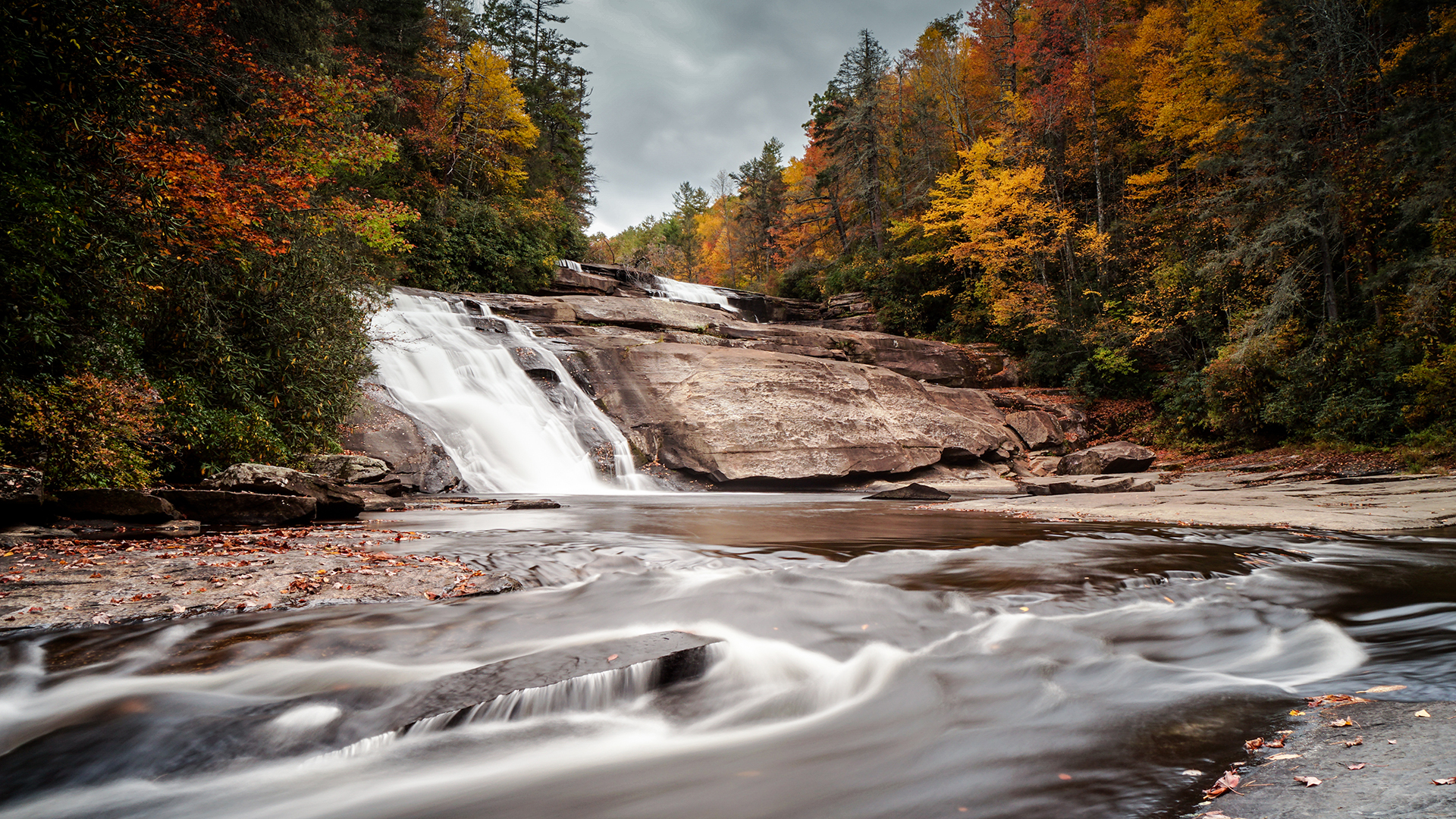 Dupont State Forest: Making a Hidden Treasure a Public Resource