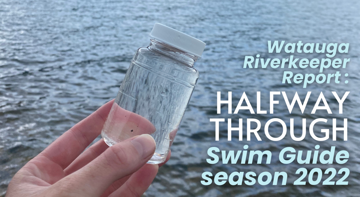 Halfway Through Swim Guide Season 2022 – Watauga Riverkeeper