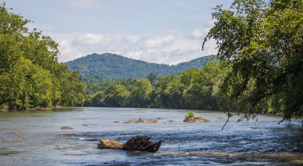 Real-Time E. coli estimates for the French Broad River at Pearson Bridge available on new website from MountainTrue and NC DEQ