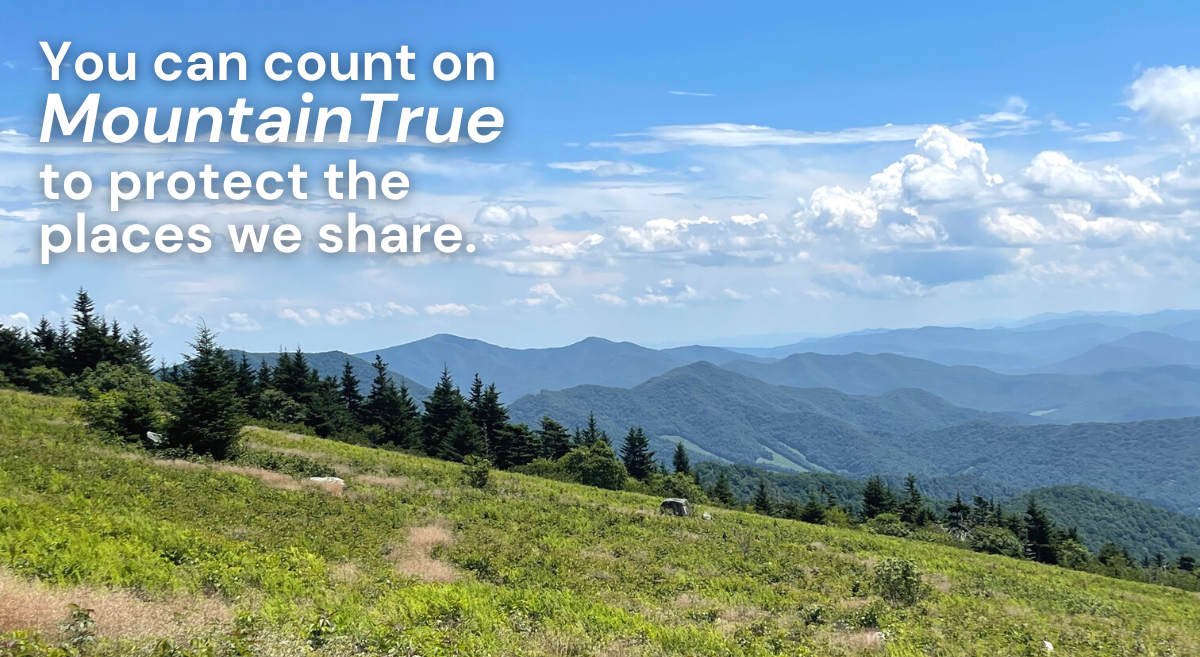 Protecting the Places We Share All Summer Long