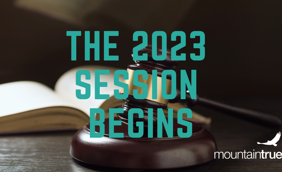Raleigh Report: The 2023 Session Kicks Off