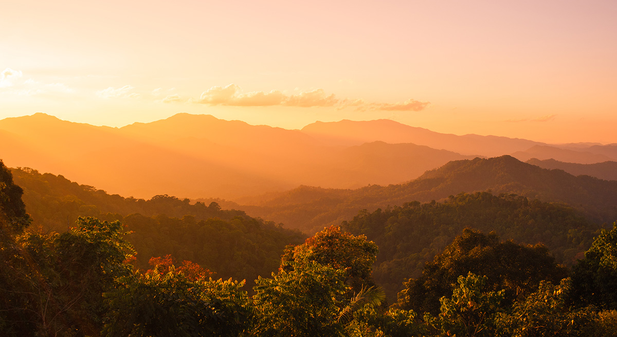 MountainTrue’s Statement on the Nantahala-Pisgah Forest Plan