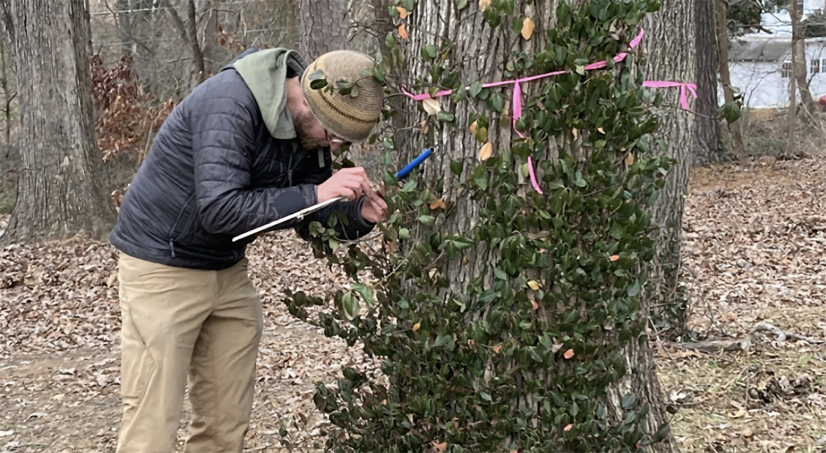 Helping A Member Save the Trees of the Asheville Muni Golf Course