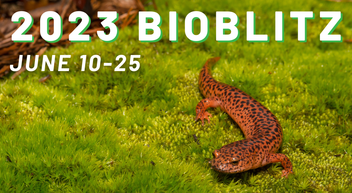 2023 BioBlitz: Powered by iNaturalist