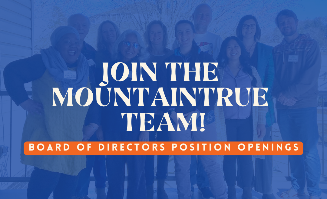 Join MountainTrue’s Board of Directors!