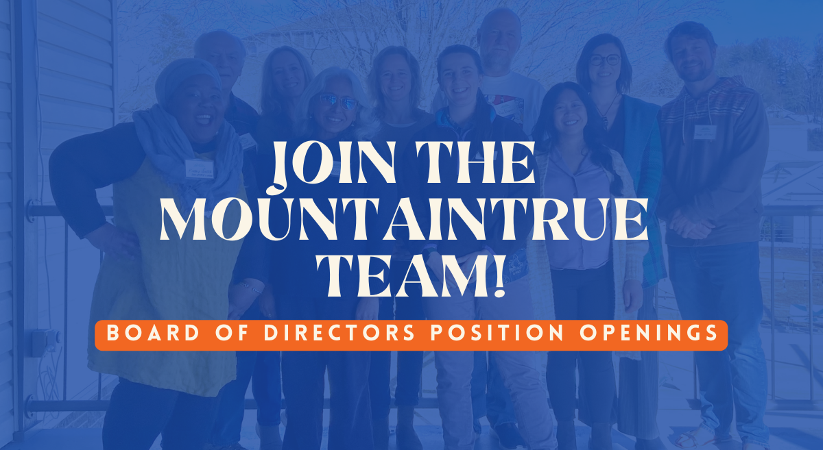 Join MountainTrue’s Board of Directors!