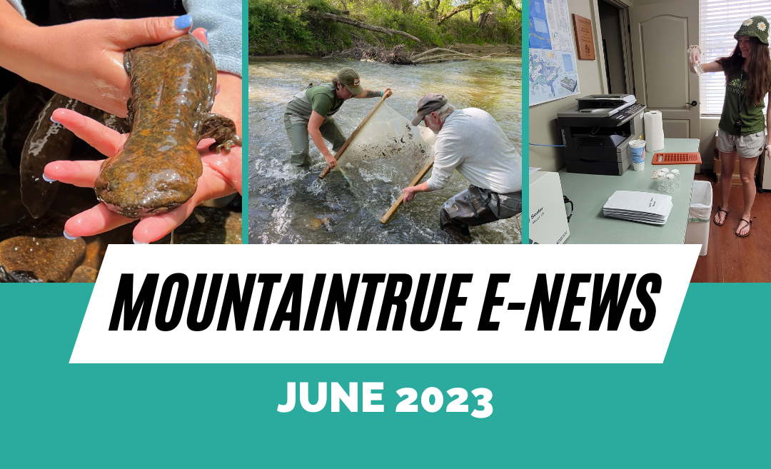 MountainTrue’s June 2023 E-Newsletter