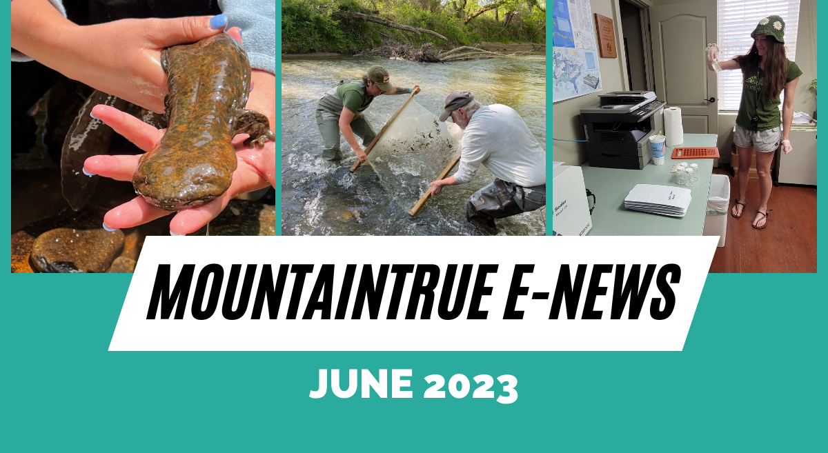 MountainTrue’s June 2023 E-Newsletter